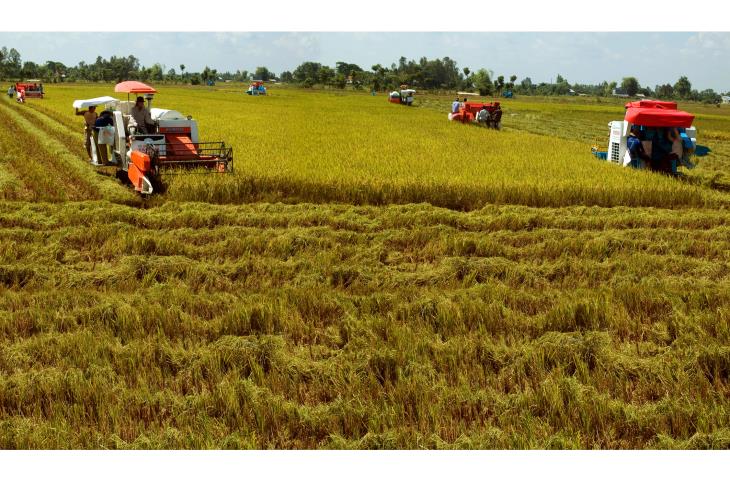 Xu hướng biến động các loại hộ khu vực nông thôn Tây Ninh qua kết quả sơ bộ Tổng điều tra nông thôn, nông nghiệp và thủy sản năm 2016.